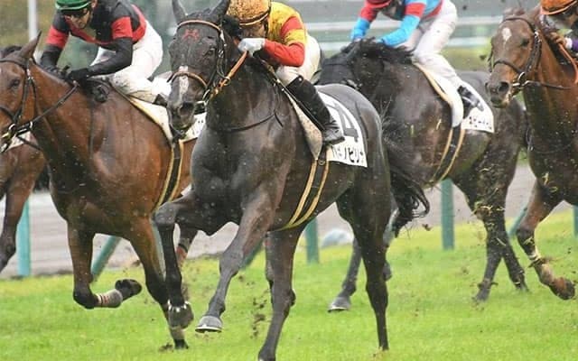 【AI予想】勢いのある馬を素直に重視すべき菊花賞でAIが選んだ上位2頭は？