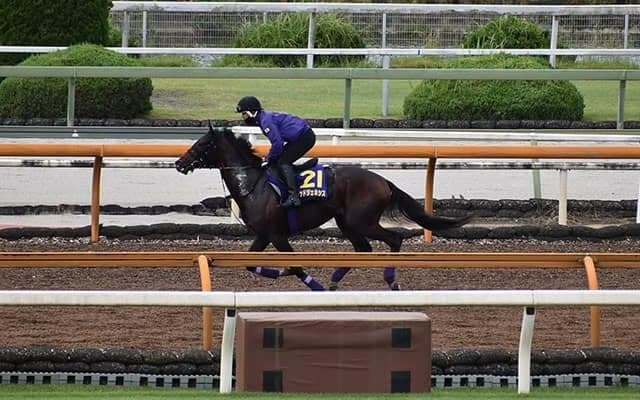 【菊花賞「見逃せない調教師」ベスト3】阪神芝2400m以上で驚異の複勝率70％超！ 菊花賞で絶対外せないのはこの調教師