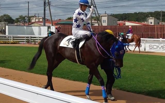 【門別競馬情報】重賞2連勝なるか、ビッグレッドファーム生産・所有馬コスモポポラリタ！ 距離クリアで3連勝めざすローズティアラや、カーロデスティーノの巻き返しにも注目「第9回ブロッサムカップH2」/地方競馬情報