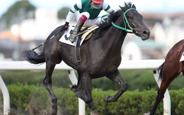 【浦和・新鋭特別結果】今野忠成騎手騎乗のディープインパクト産駒ライアンが勝利