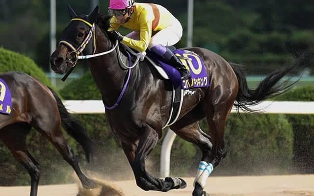 【次走】コパノキッキングはJBCスプリント回避　来年のサウジ連覇を目標