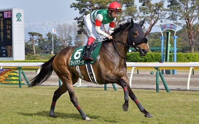 【JRA】2019年フェアリーSの覇者フィリアプーラがノーザンFで繁殖入りへ