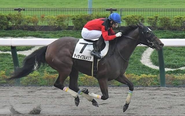 「ちょっと一生懸命になりすぎてしまったところが反省点」 大怪我から復帰し2戦目で勝利した伊藤工真騎手