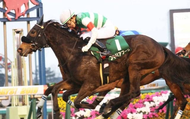 フィリアプーラが競走馬登録抹消