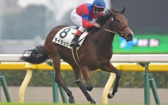 【次走】コントレイル全弟らを破ったライラックは京都2歳Sへ