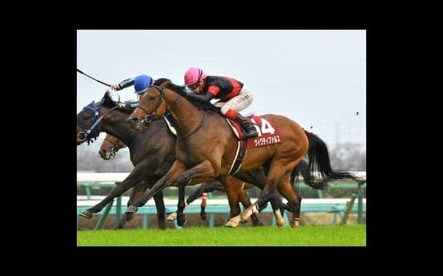 菊花賞は血統から長距離適性を分析。今後の急成長も期待できる２頭は？