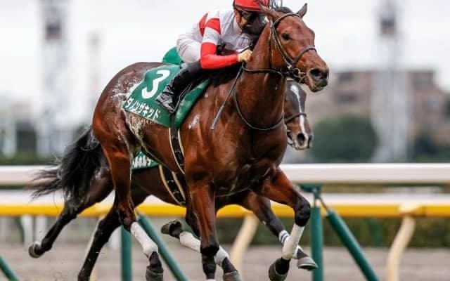 【富士S前日オッズ】ダノンザキッドが3.5倍で1番人気、ロータスランドが差なく続く