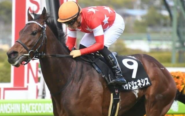 【菊花賞前々日オッズ】レッドジェネシスが1.8倍で1番人気に推される