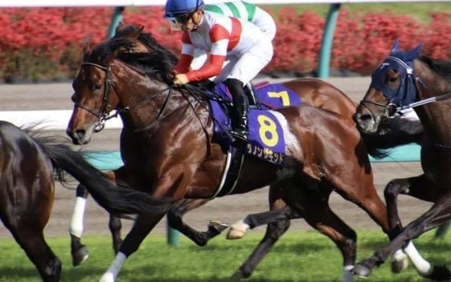 【富士S予想】秋のマイル王座獲得へ 実力馬集結の前哨戦