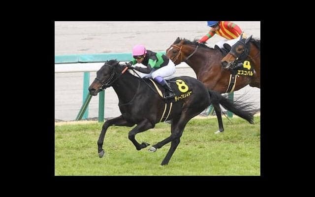 阪神開催の菊花賞は脚質がポイント。穴党記者が推すのは驚きの伏兵２頭