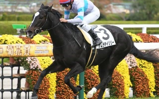 【阪神5R新馬戦結果】ナムラデイリリーがロケットスタートから押し切りV