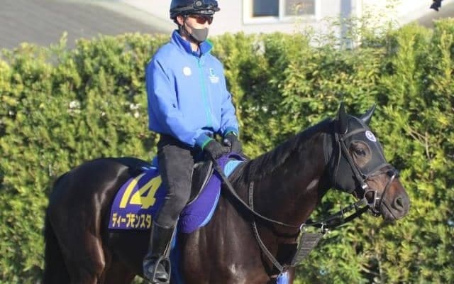 【菊花賞】ディープモンスター陣営「内目の枠で良かった」/ねぇさんのトレセン密着