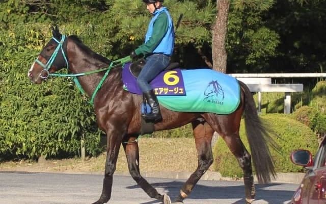 【菊花賞】エアサージュ池添学師「脚が長く胴長、距離適性はある」/ねぇさんのトレセン密着