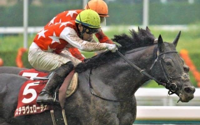 【菊花賞前日オッズ】ステラヴェローチェが4.1倍で1番人気、4頭が10倍を切る