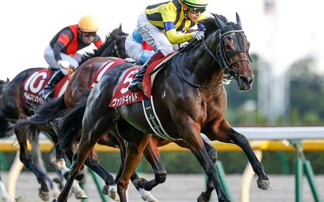ブリーダーズカップに出走予定の日本馬3頭がアメリカに到着