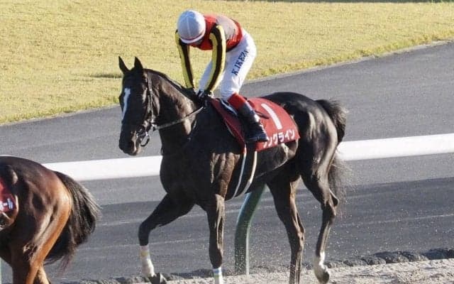 【富士S】池添謙「正直負けられないレース」ソングラインが重賞初制覇