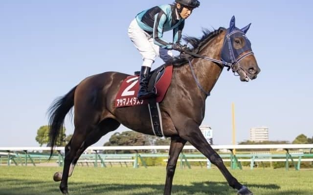 【本日の注目ポイント】阪神でクラシック最終戦・菊花賞