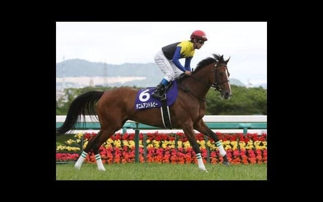 急きょデビューが延期になったダノンギャラクシー。その判断に見る陣営の評価