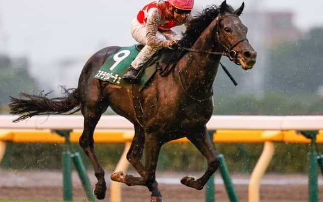 【菊花賞予想】AIがラスト一冠で最上位評価したのは春の雪辱を果たしたいステラヴェローチェ