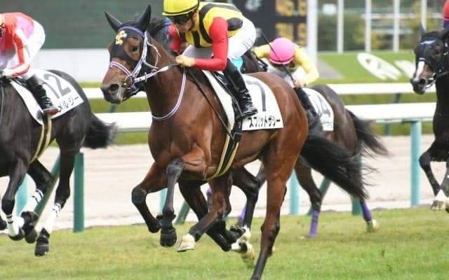 【阪神4R新馬戦結果】スプリットザシーが差し切って新馬勝ち