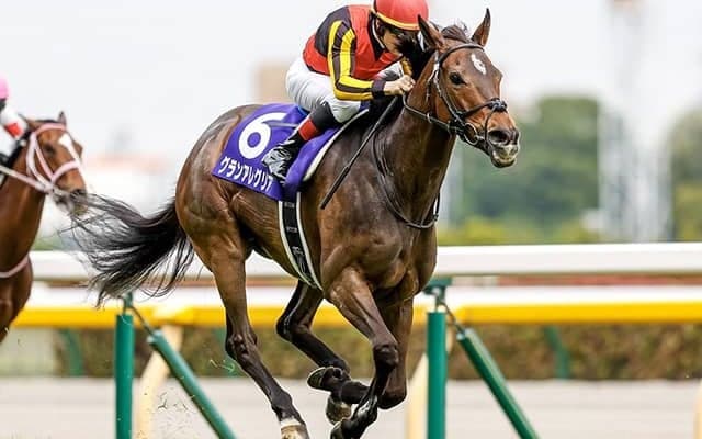 三冠馬と短距離女王が天皇賞・秋で再戦！/今週の競馬界の見どころ