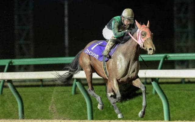 【盛岡・OROオータムティアラ】ファイントリックが最内から突き抜けて快勝！