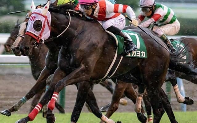 【先週のJRA抹消馬】熊本産馬ヨカヨカ、2019年フェアリーS覇者フィリアプーラなど