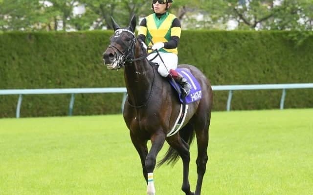 【天皇賞秋 予想】AI本命◎は距離が不安視される「あの馬」!? 多士済々の頂上決戦を人工知能が解き明かす！