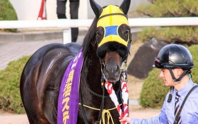 【オータムリーフSハンデ確定】エアアルマスは58.0kg、メイショウウズマサは55.0kg