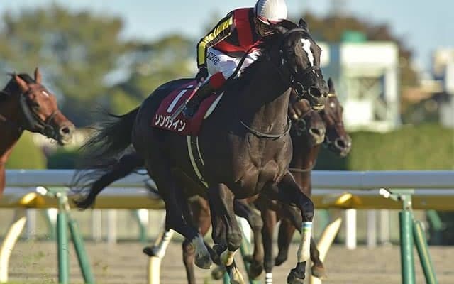 この時期にグンと成長するキズナ産駒　今年に入って8つめの重賞制覇