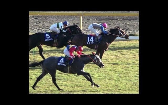 ウマ娘の人気キャラもいっぱい。天皇賞・秋で名馬たちが繰り広げた数々の極上ドラマ