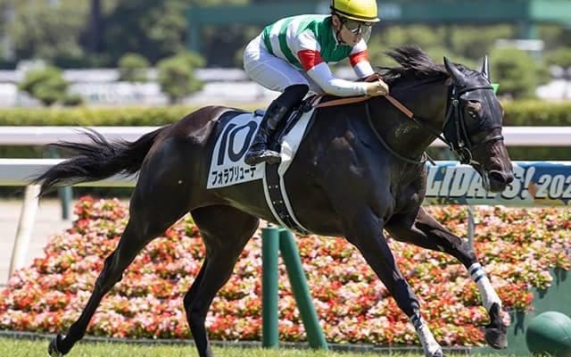 【アルテミスS想定騎手】フォラブリューテはC.ルメール騎手、ロムネヤは戸崎圭太騎手