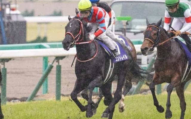 【天皇賞・秋 予想オッズ】コントレイル、グランアレグリア、エフフォーリアによる三つ巴