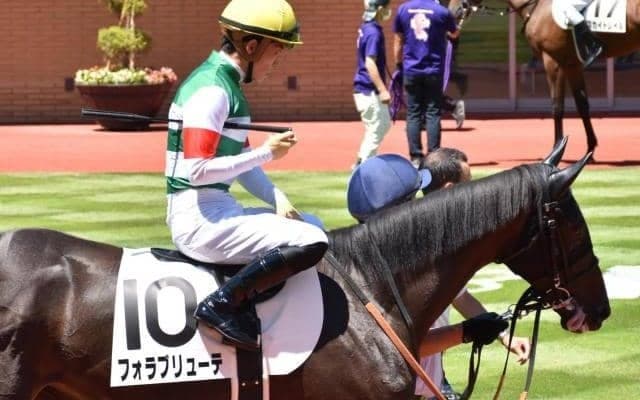 【アルテミスS予想オッズ】フォラブリューテが予想1番人気