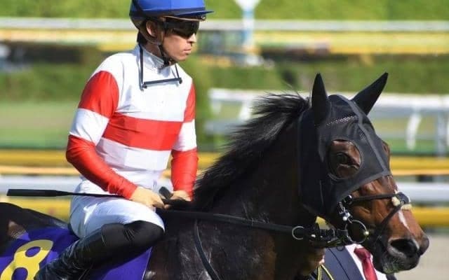 【スワンS予想オッズ】ダノンファンタジーが予想1番人気、クリノガウディーが続く