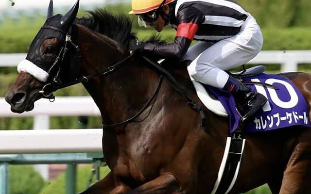 【天皇賞・秋 注目馬】重賞2着6回、伝統の大舞台で黄金の大輪を咲かせるか