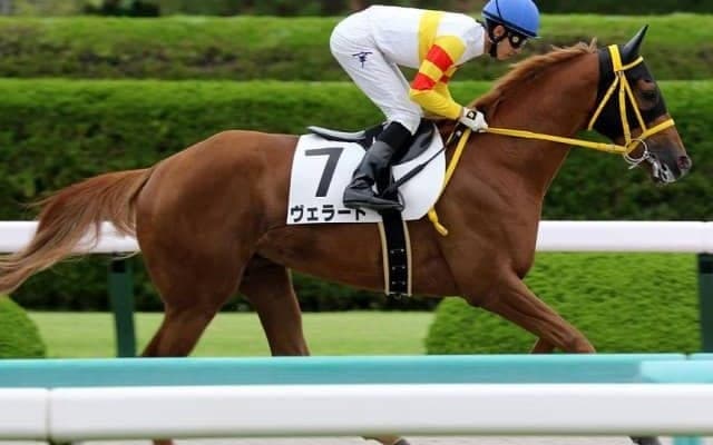 【門別競馬情報】遠征続く門別勢、26日盛岡もクラヴィスオレアが重賞制覇！残り5日となった門別メイン12Rは「むかわ町長杯鵡川ししゃも特別」/地方競馬情報