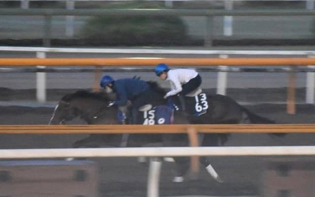 レッドベルアーム、東京スポーツ杯2歳S追い切り速報/栗東トレセンニュース