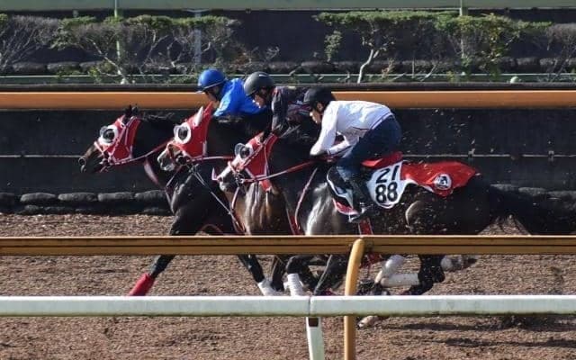 ダノンファラオ、JBCクラシック追い切り速報/栗東トレセンニュース