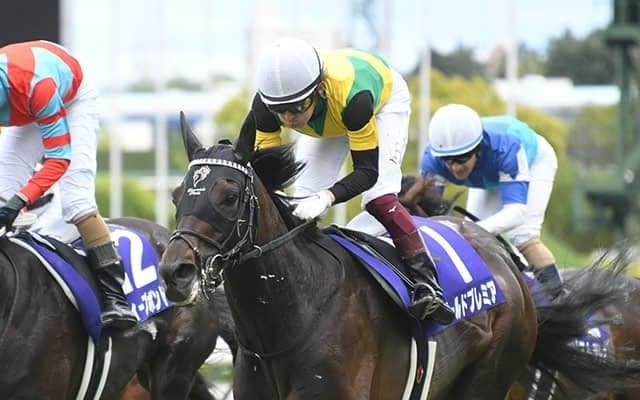 【AI予想】実績や馬齢など心強い点も　天皇賞・秋で積極的に狙うなら妙味がありそうな1頭