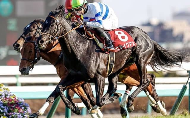 【天皇賞・秋「見逃せない調教師」ベスト3】東京芝2000mで複勝率63.5％、複勝回収率110％。「見つけたら買い！」の調教師は？