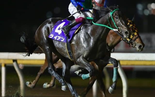【船橋・平和賞結果】ディープインパクト産駒ライアンが3連勝で重賞V