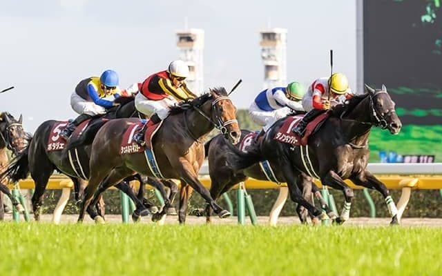 【香港マイル】グランアレグリア、ダノンキングリー、シュネルマイスターなど日本馬20頭が登録