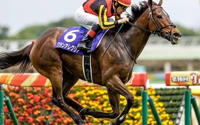 【天皇賞・秋展望】今年は三つ巴の様相、中でもあの馬に期待したい