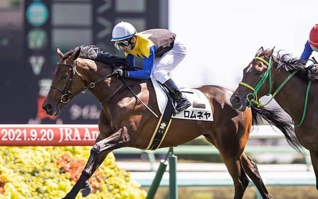 【アルテミスS「見逃せない調教師」ベスト3】○○調教師は、勝利数、複勝率、複勝回収率全てで出走調教師中トップ