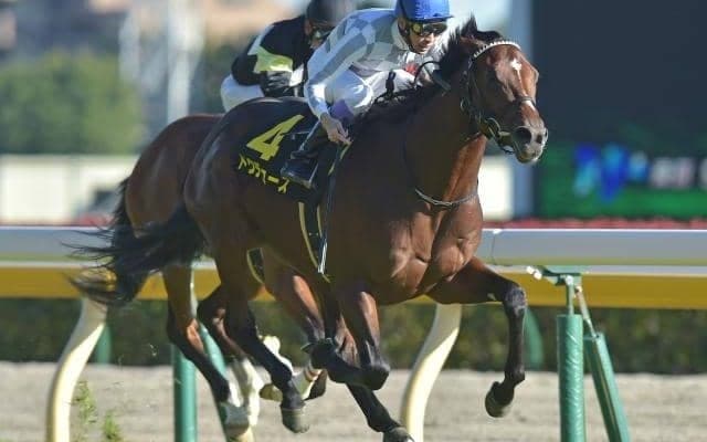 【次走】デビュー2連勝のドウデュースは朝日杯FSかホープフルSを視野
