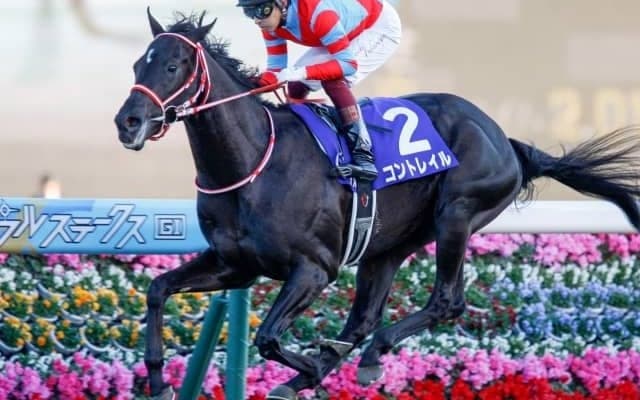 【天皇賞・秋枠順確定】コントレイル1枠1番、グランアレグリア5枠9番、エフフォーリア3枠5番