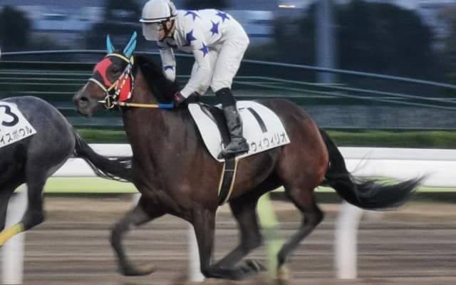 【門別競馬情報】9月20日の盛岡・芝2歳重賞以降、門別から遠征馬ありのレースは8戦6勝！地方交流重賞は門別の馬抜きに語れない!? 今季も残り4日間、今夜メイン12Rは「ゴールドドリーム賞」/地方競馬情報