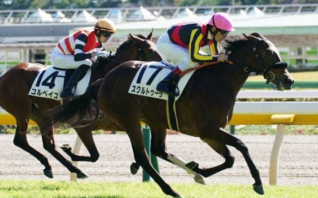 【新馬/東京4R】ロードカナロア産駒 スクルトゥーラがデビューV