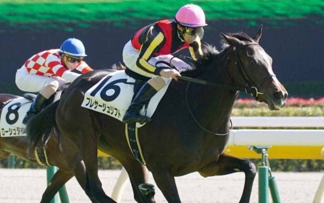 【新馬/東京5R】ハービンジャー産駒 プレサージュリフトがデビューV